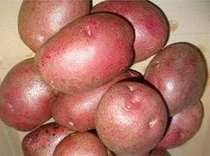 1491206434639968.jpg 5313732BDEC6E65D5CCA9B2E5A70E5EB.jpg